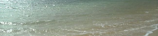 トラントトロア's header image