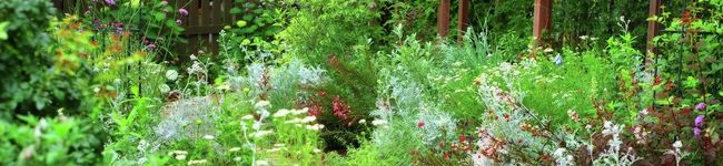 PLANTAGE's header image
