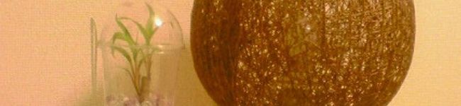 tototon♪'s header image