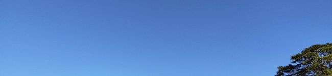 ＊asu's header image