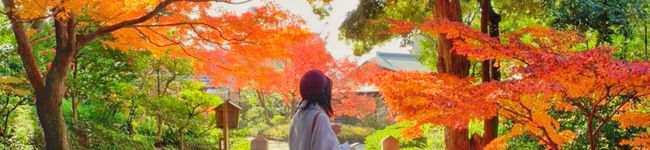 Spilca0330's header image