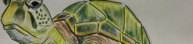 クック0YQX99☆'s header image