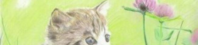 呑徒（どんと）'s header image