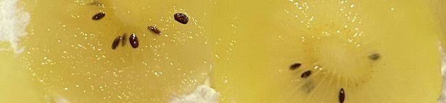 hiro5031's header image