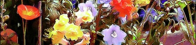ルパン三世と峰不二子's header image