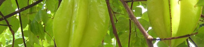 salad0313's header image