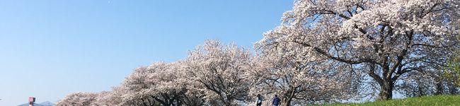 おはぎはつぶあん派's header image