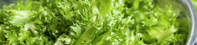 野菜のちから's header image