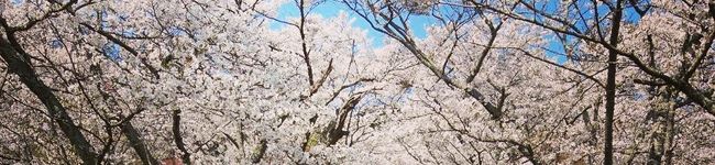 erinnda's header image
