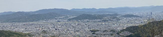 料理下手な人2号's header image