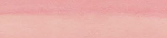 ウマウマクッキング's header image