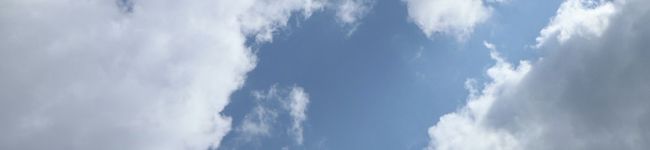 こたろう☆彡's header image