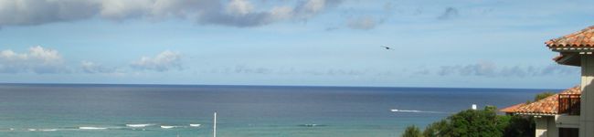 SALASAK's header image