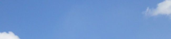 今日もいい日だね！'s header image