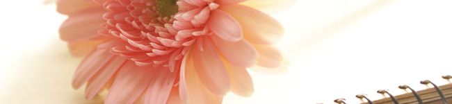 紅色花＊紅茶's header image