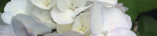 rieko0505's header image