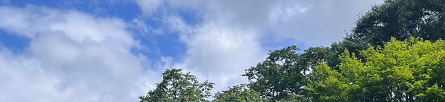 Shiro城's header image