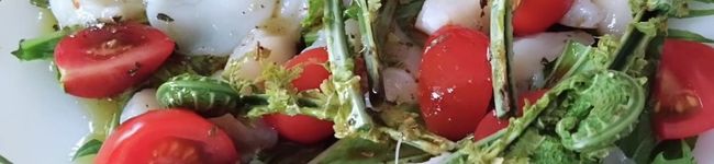 クックOCHQAQ☆'s header image