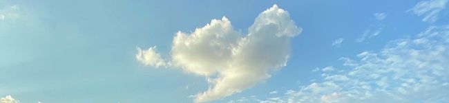 猫と青空's header image