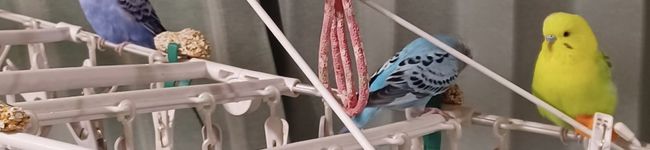 パン屋で癒し(^_-)'s header image