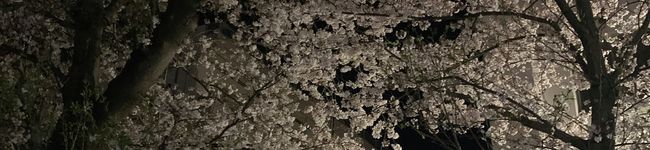 心町‐Comati‐'s header image