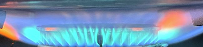 プロクックパッダー's header image