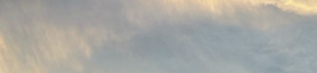 料理が好きな女子大生's header image