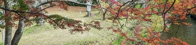 こはる's header image