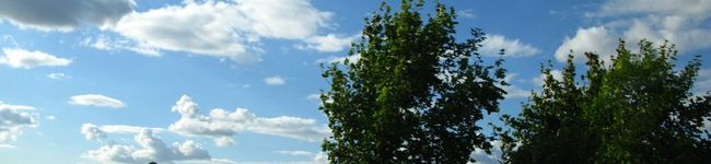 Erzenhausen's header image
