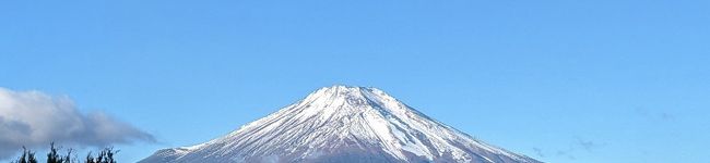 ぬーぬーNF9's header image