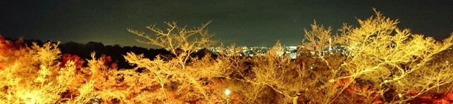 ｽﾞﾎﾞﾗｻｰﾔﾝ's header image