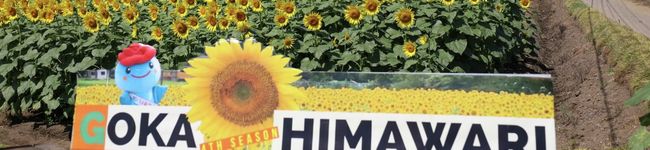 茨城県五霞町's header image