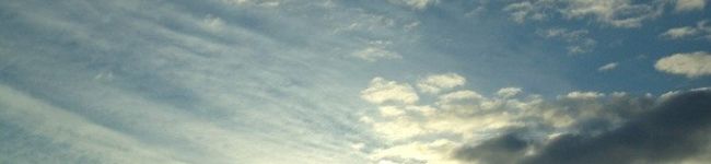 び～る's header image