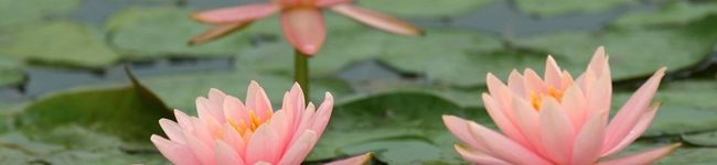 YUN01's header image