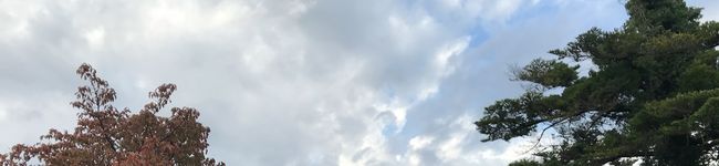 なな！！'s header image