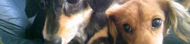 mosna's header image
