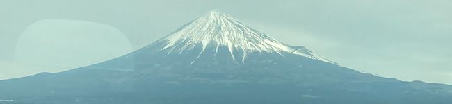 茶色い彗星のダックスくん's header image
