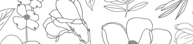 yumamon♡ʾʾ's header image