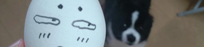 ポン太かあちゃん's header image