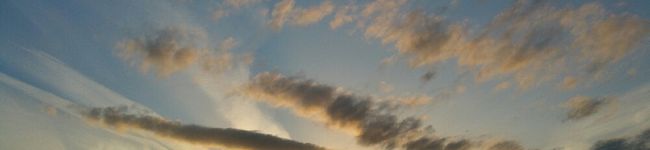ニコ37's header image