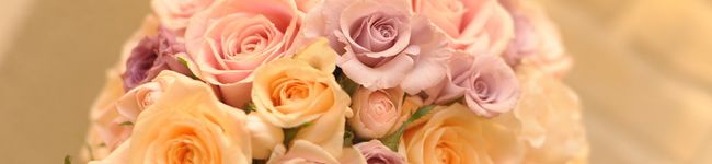 ★アイビス★'s header image