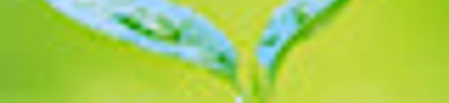 ぴゃぴこーん's header image
