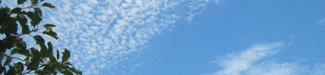 じんとっと's header image