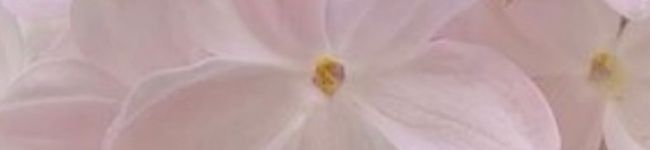 mati_co's header image