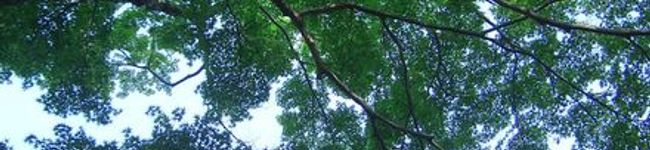 kazuha247's header image