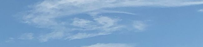 うさこのお世話係's header image