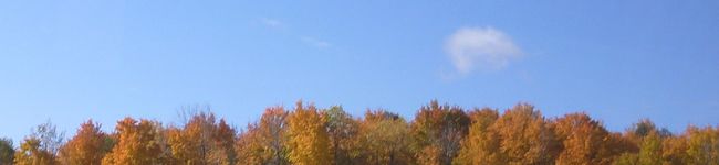 しろごはん's header image