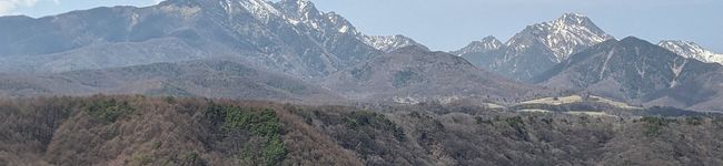がくせいコック's header image