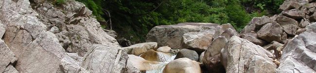 masakohママ's header image