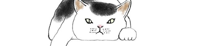 にゃんだふるキッチン's header image